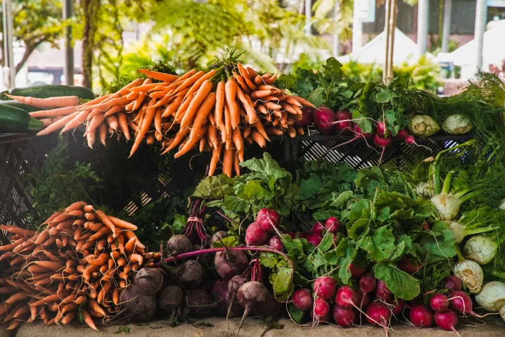 alimentos-verduras-recuperacion